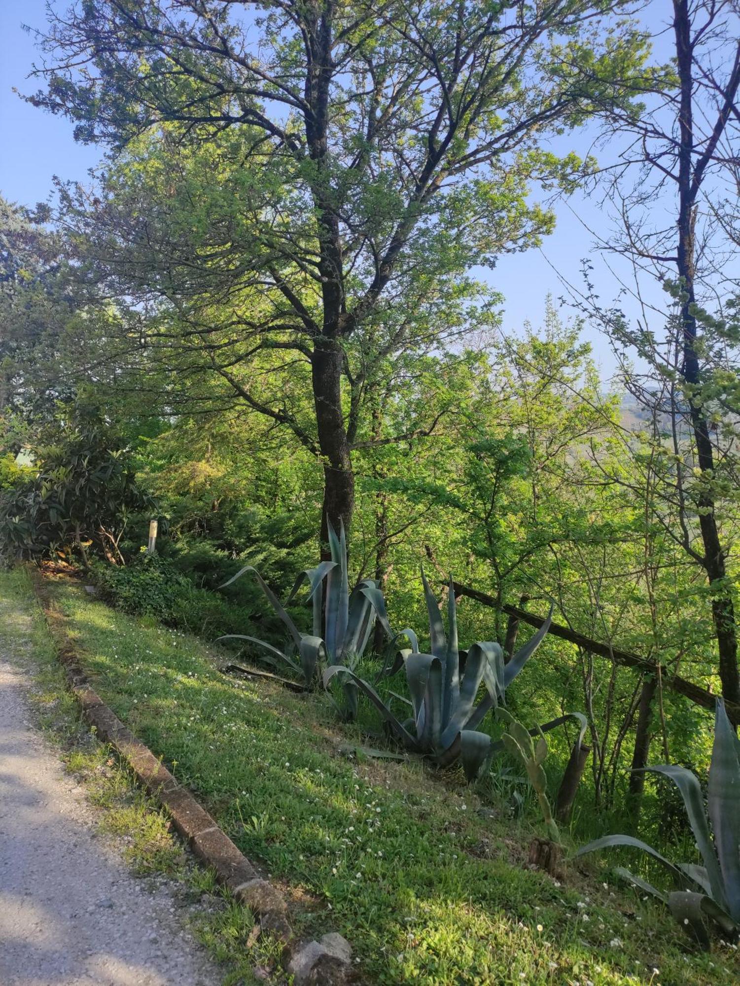 Bed and Breakfast La Pergola Becedasco Екстер'єр фото