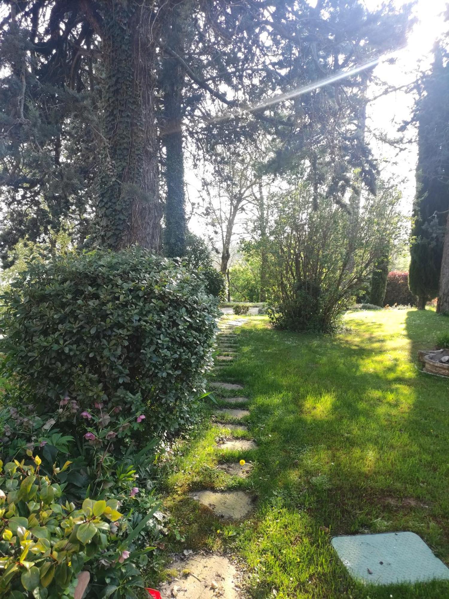 Bed and Breakfast La Pergola Becedasco Екстер'єр фото