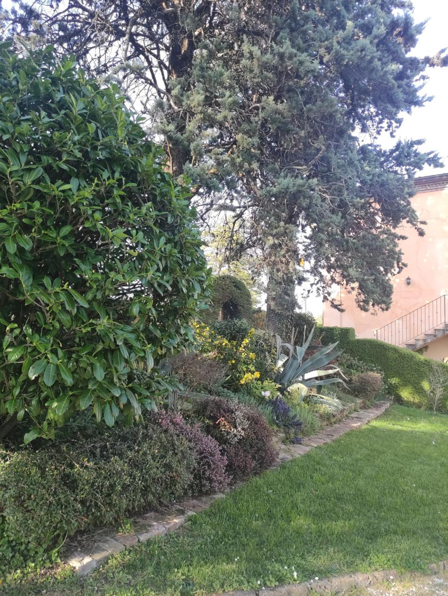 Bed and Breakfast La Pergola Becedasco Екстер'єр фото